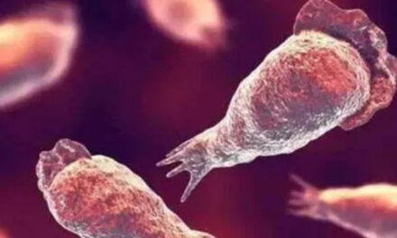 അമീബിക് മസ്തിഷ്‌ക ജ്വരം: സംസ്ഥാനത്ത് ഒരു മരണം കൂടി