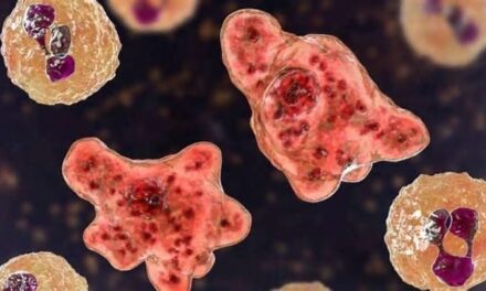 അമീബിക് മസ്തിഷ്‌ക ജ്വരം: കുഞ്ഞ് ഉള്‍പ്പടെ രണ്ടു മരണം