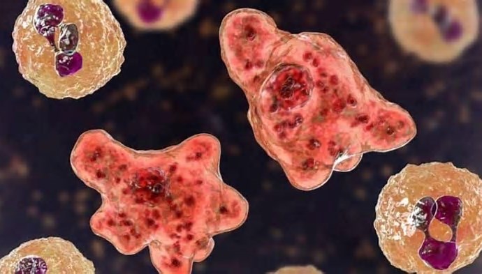 അമീബിക് മസ്തിഷ്‌ക ജ്വരം: കുഞ്ഞ് ഉള്‍പ്പടെ രണ്ടു മരണം