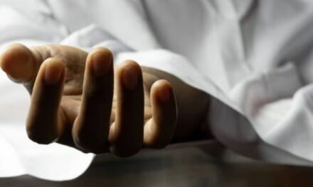 ഇടുക്കി ചിന്നക്കനാലിൽ കാട്ടാന ആക്രമണത്തിൽ തൊഴിലാളി മരിച്ചു