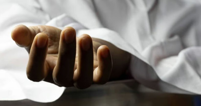 ഇടുക്കി ചിന്നക്കനാലിൽ കാട്ടാന ആക്രമണത്തിൽ തൊഴിലാളി മരിച്ചു