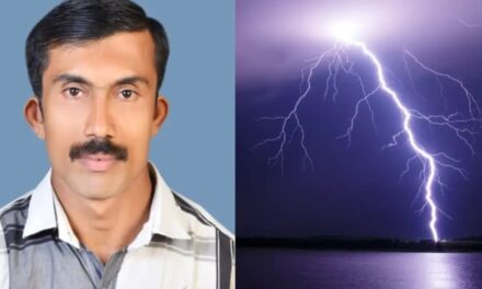 മരം വെട്ടുന്നതിനിടെ മിന്നലേറ്റ് താഴേക്ക് തെറിച്ച് വീണു, ചികിത്സയിലിരുന്ന തൊഴിലാളിയും മരിച്ചു