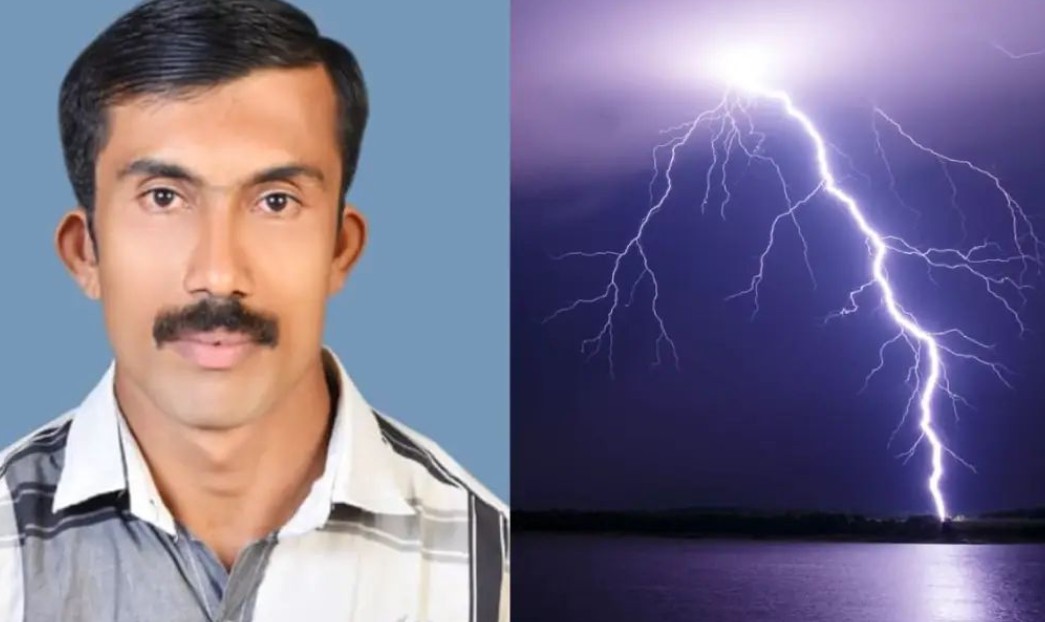 മരം വെട്ടുന്നതിനിടെ മിന്നലേറ്റ് താഴേക്ക് തെറിച്ച് വീണു, ചികിത്സയിലിരുന്ന തൊഴിലാളിയും മരിച്ചു