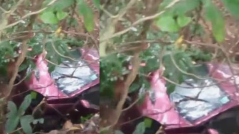 നിയന്ത്രണം വിട്ട കാർ താഴ്ചയിലേക്ക് മറിഞ്ഞ് അപകടം; വീട്ടമ്മയും കൊച്ചുമകളും മരിച്ചു