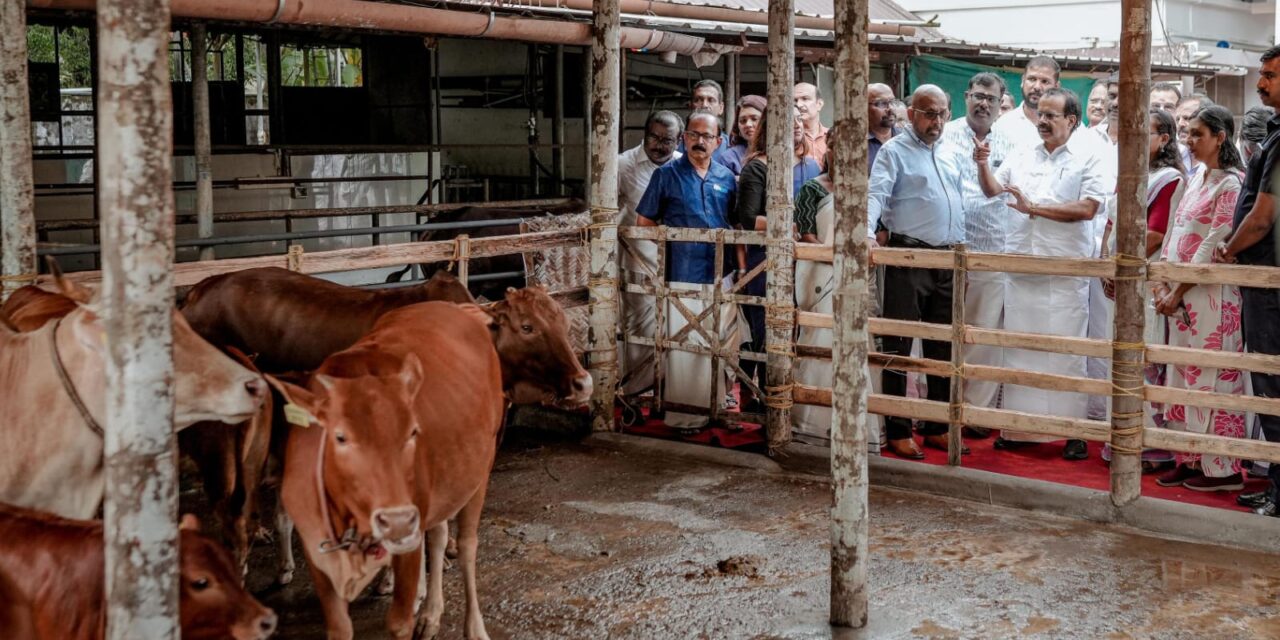 വെച്ചൂർ പശു സംരക്ഷണത്തിന് കേന്ദ്രസർക്കാർ നൽകുന്നത് മുന്തിയ പരിഗണന : കേന്ദ്ര മന്ത്രി ജോർജ് കുര്യൻ