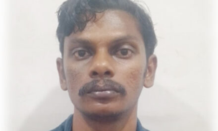 വീടിനുള്ളില്‍ അതിക്രമിച്ചു കയറി വീട്ടമ്മയുടെ മാല പൊട്ടിച്ച് കൊണ്ടുപോയ കേസിലെ പ്രതി പിടിയില്‍