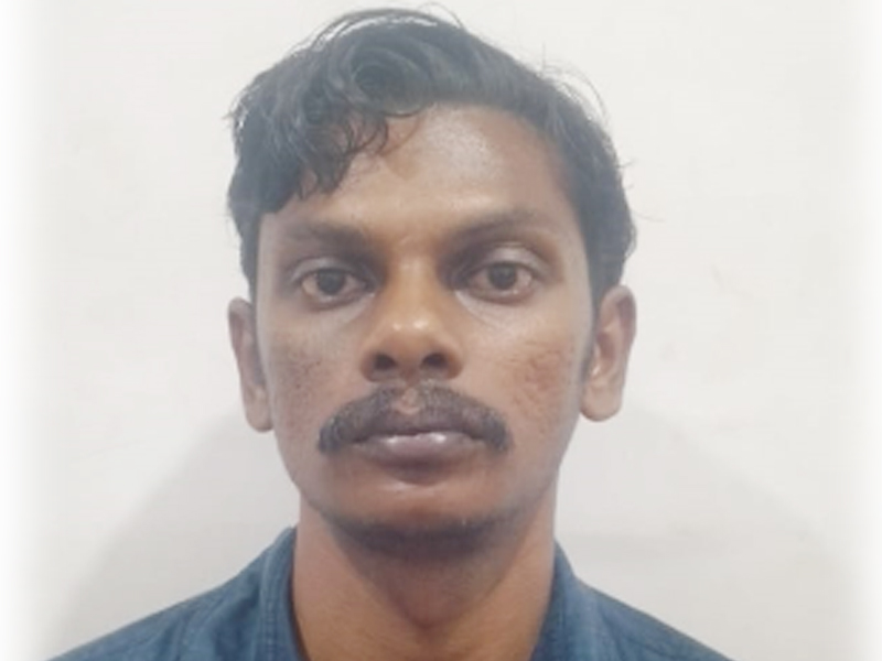 വീടിനുള്ളില്‍ അതിക്രമിച്ചു കയറി വീട്ടമ്മയുടെ മാല പൊട്ടിച്ച് കൊണ്ടുപോയ കേസിലെ പ്രതി പിടിയില്‍