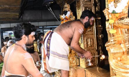 വൃശ്ചികപ്പുലരിയിൽ ശബരിമലയിൽ ഭക്തർക്ക് ദർശന പുണ്യം