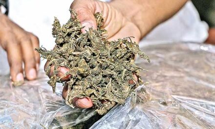 കോട്ടയം റെയിൽവേ സ്റ്റേഷൻ സമീപത്ത് നിന്ന് 7 കിലോ കഞ്ചാവ് പിടികൂടി,ഒരാൾ അറസ്റ്റിൽ