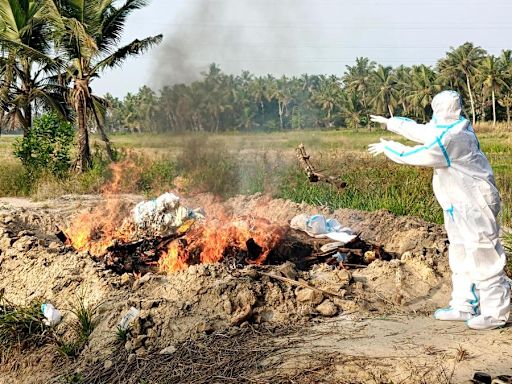 പക്ഷിപ്പനി: ആലപ്പുഴയില്‍ ചിക്കനു വിലക്ക്, ഹോട്ടലുകള്‍ അടയ്ക്കുന്നു