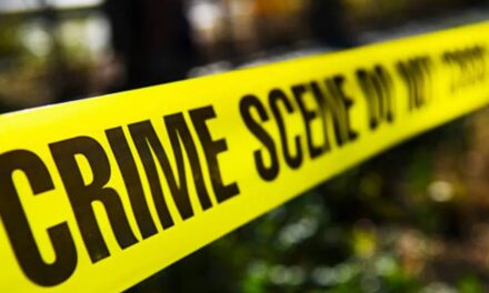 കൊച്ചു മകൻ വീടിനുള്ളിൽ തൂങ്ങിമരിച്ച‌ നിലയിൽ; മനംനൊന്ത് മുത്തശ്ശിയും സഹോദരിയും ജീവനൊടുക്കി