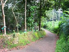 പുലി വരുന്നേ പുലി, വാകത്താനത്ത് ഇറങ്ങിയത് സൈബര്‍ പുലി