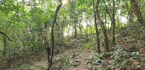 പൂഞ്ഞാറിൽ 55 കാരൻ വെടിയേറ്റ് മരിച്ച നിലയിൽ