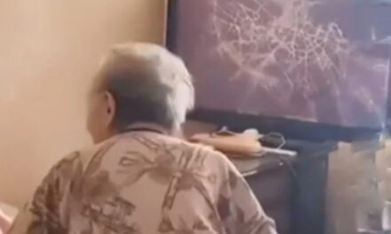 “ഇവനെയൊക്കെ പോലീസിനെ  കൊണ്ട് പിടിപ്പിക്കണം” : സീരിയലിലെ വില്ലൻ നായികയോട് ചെയ്തത് അനീതി : വില്ലനോട് കട്ട കലിപ്പിൽ മുത്തശ്ശി ; ടിവി തല്ലിപ്പൊട്ടിച്ച് 91-കാരി : മൂന്ന് ദിവസത്തിനുള്ളിൽ തകർത്തത് രണ്ടെണ്ണം