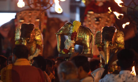 ഏറ്റുമാനൂര്‍ മഹാദേവക്ഷേത്രത്തിലെ ഏഴരപ്പൊന്നാന ദര്‍ശനം ഇന്ന്