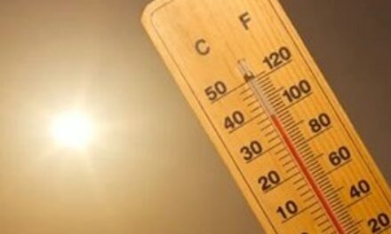 സംസ്ഥാനത്ത് ഉയര്‍ന്ന ചൂട്; ഇടുക്കിയില്‍ അതീവ ജാഗ്രത മുന്നറിയിപ്പ്, ഓറഞ്ച് അലര്‍ട്ട്, രാവിലെ 11 മുതല്‍ 3 വരെ നേരിട്ട് വെയില്‍ ഏല്‍ക്കരുത്; മുന്നറിയിപ്പ് നല്‍കി ദുരന്ത നിവാരണ അതോറിറ്റി