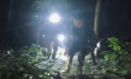 കാറിൽ യാത്ര ചെയ്തുകൊണ്ടിരുന്ന ദമ്പതികളുടെ മുന്നിലേക്ക് പുലി ചാടി…