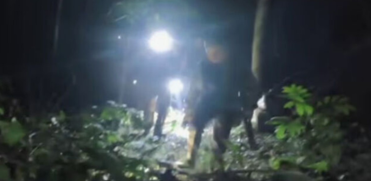 കാറിൽ യാത്ര ചെയ്തുകൊണ്ടിരുന്ന ദമ്പതികളുടെ മുന്നിലേക്ക് പുലി ചാടി…