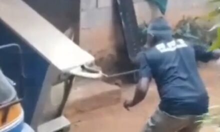 അലമാരയ്ക്കടിയിൽ ഒളിച്ച രാജവെമ്പാലയെ പിടികൂടി