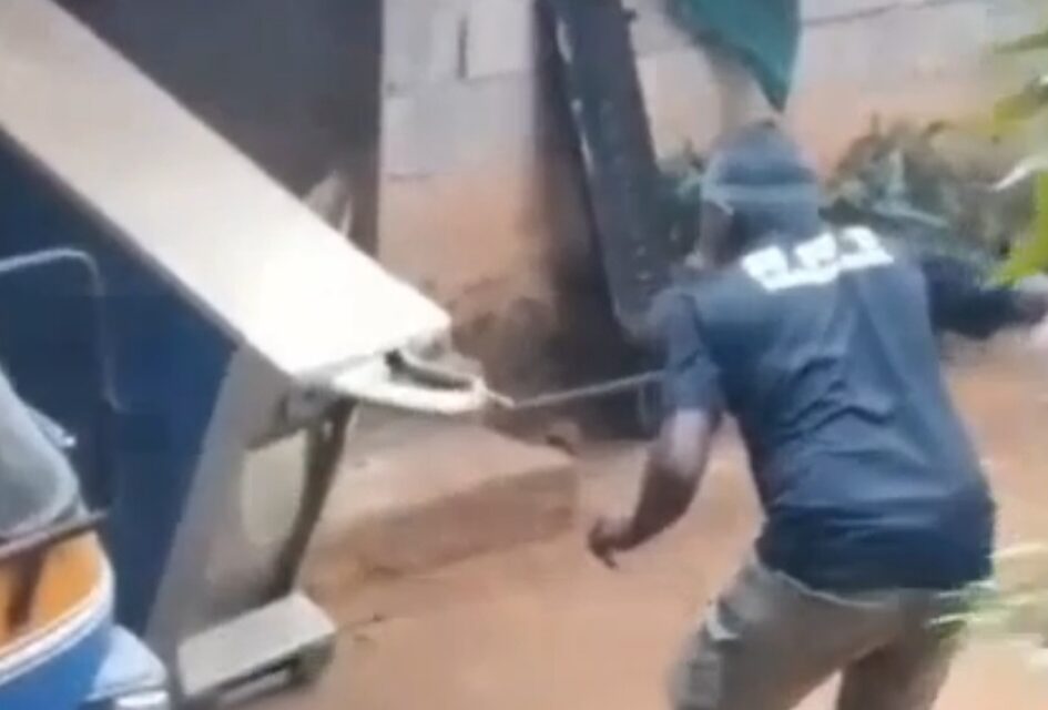 അലമാരയ്ക്കടിയിൽ ഒളിച്ച രാജവെമ്പാലയെ പിടികൂടി