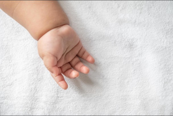 കൊടുങ്ങല്ലൂരിൽ ഫ്ലാറ്റിലെ ഫ്രിഡ്ജിനുള്ളിൽ ഗർഭസ്ഥ ശിശുവിന്റെ ജഡം; ദമ്പതികളെ ചോദ്യം ചെയ്ത് പോലീസ്; സംഭവം കൊടുങ്ങല്ലൂരിൽ