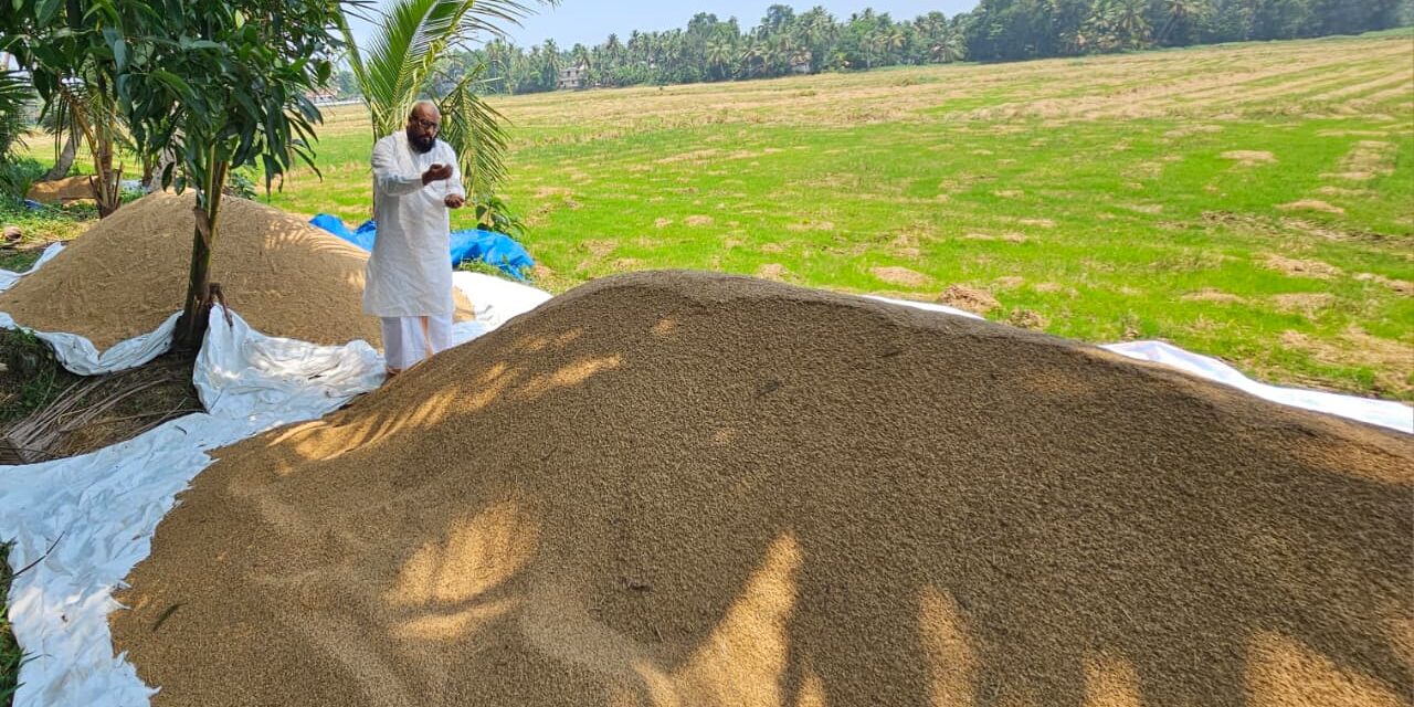 എടത്വ തലവടിയിൽ വിളവെടുപ്പ് നടത്തിയിട്ട് പതിനഞ്ച് ദിവസം ; നെല്ല് സംഭരിക്കാത്തതിൽ നെൽകർഷകരുടെ പ്രതിഷേധം 