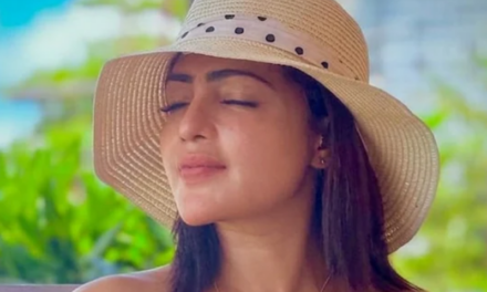 തമിഴ് മിനി സ്‌ക്രീന്‍ താരം സുഭാഷിണി മരിച്ച നിലയില്‍