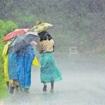 ഓറഞ്ച് അലർട്ട്, വയനാട്ടിൽ കനത്ത മഴയുണ്ടാകുമെന്ന് മുന്നറിയിപ്പ്; നാളെ എല്ലാ വിദ്യാഭ്യാസ സ്ഥാപനങ്ങള്‍ക്കും അവധി