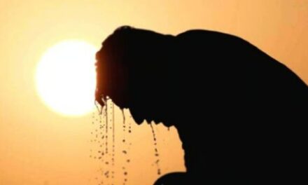 കേരളം വെന്തുരുകുന്നു: ഉഷ്ണതരംഗ സമാന സാഹചര്യം, വീട്ടിനുള്ളിലാണെങ്കിലും നിർജലീകരണം ഉണ്ടാകാം, ബോധക്ഷയം ഉണ്ടായാൽ ശ്രദ്ധിക്കണം