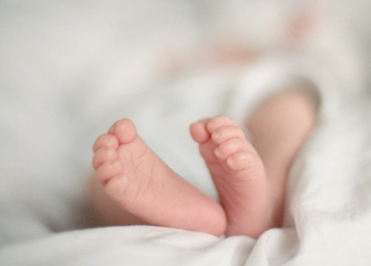 ശ്വാസനാളത്തിൽ പാൽ കുടുങ്ങി: പാലക്കാട് ഒന്നര വയസ്സുകാരിക്ക് ദാരുണാന്ത്യം