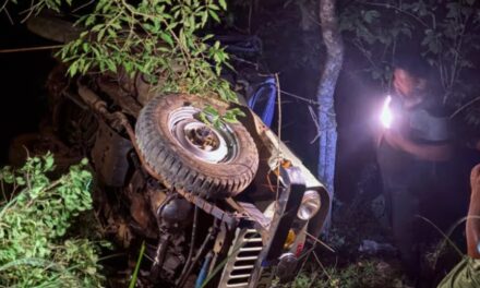 ഇടുക്കിയിൽ ജീപ്പ് കൊക്കയിലേക്ക് മറിഞ്ഞ് 2 മരണം; 3 പേർക്ക് ഗുരുതര പരുക്ക്, അപകടത്തിൽ പെട്ടത് വിവാഹ ചടങ്ങിൽ പങ്കെടുക്കാനെത്തിയവരുടെ വാഹനം