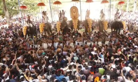 സങ്കടത്തിരയടിയില്‍  തൃശൂരില്‍ ആചാരപൂരത്തിന്റെ പകല്‍
