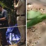 ഇടുക്കിയിൽ ഇരട്ടക്കൊല? വീട്ടുപറമ്പില്‍ രണ്ട് മൃതദേഹങ്ങള്‍; അമ്മയും മകനും കൊല്ലപ്പെട്ടെന്ന് സംശയം, ഇളയ മകനെ കാണാനില്ല