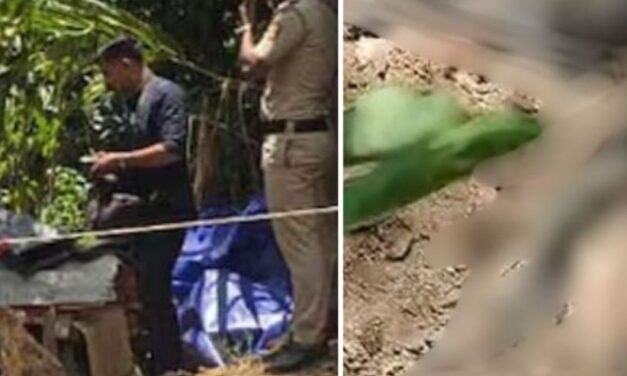 ഇടുക്കിയിൽ ഇരട്ടക്കൊല? വീട്ടുപറമ്പില്‍ രണ്ട് മൃതദേഹങ്ങള്‍; അമ്മയും മകനും കൊല്ലപ്പെട്ടെന്ന് സംശയം, ഇളയ മകനെ കാണാനില്ല
