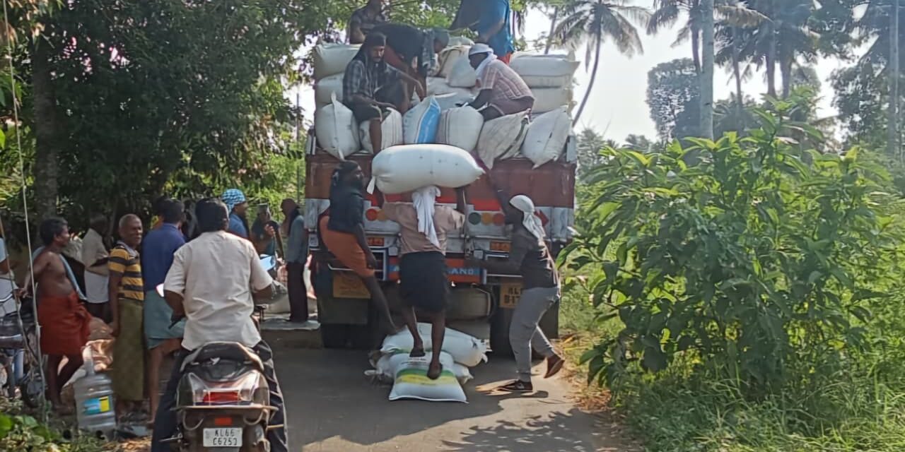  പ്രതിഷേധം ഫലം കണ്ടു ; തലവടി ചൂട്ടുമാലി പാടശേഖരത്തിലെ നെല്ല് സംഭരണം തുടങ്ങി