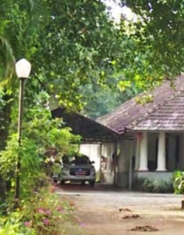 ജില്ലാ കലക്ടറുടെ ബംഗ്‌ളാവിനു സമീപം പാമ്പ്, പാലായില്‍ വൃദ്ധയ്ക്കു പാമ്പുകടിയേറ്റു