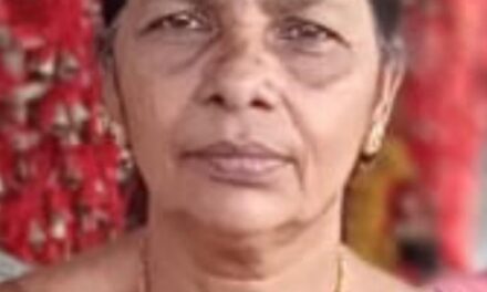 മാങ്ങാ പറിക്കുന്നതിനിടെ ഷോക്കേറ്റ് വീട്ടമ്മ മരിച്ചു