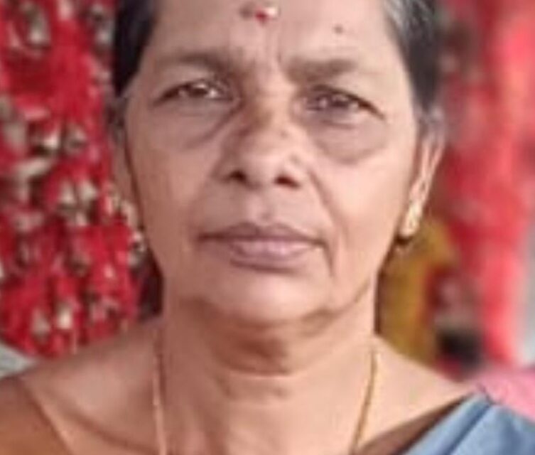 മാങ്ങാ പറിക്കുന്നതിനിടെ ഷോക്കേറ്റ് വീട്ടമ്മ മരിച്ചു