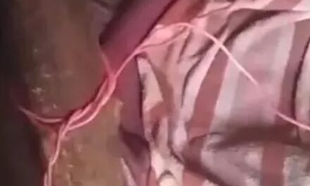 ഭർത്താവ് കാമുകനുമായുള്ള ബന്ധത്തിന് തടസ്സം നിന്നു ; ഉറങ്ങിക്കിടന്ന ഭർത്താവിന്റെ ഷോക്കടിപ്പിച്ച് കൊല്ലാൻ ശ്രമം; ഗുരുതര പൊള്ളൽ;