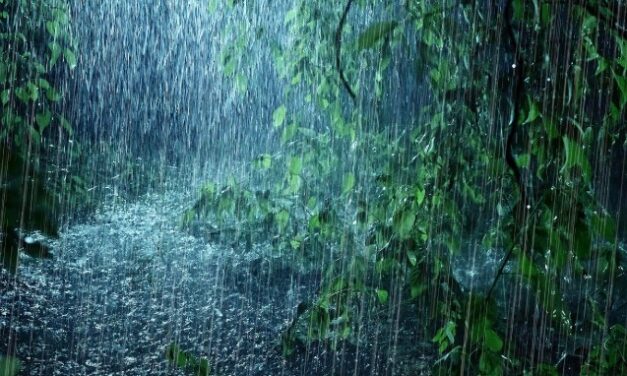 സംസ്ഥാനത്ത് വരും​ദിവസങ്ങളിൽ ശക്തമായ മഴയ്ക്ക് സാധ്യത ; 26ന് കാലവർഷമെത്തിയേക്കും, ഇന്ന് 8 ജില്ലകളിൽ മഴ മുന്നറിയിപ്പ്