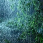 സംസ്ഥാനത്ത് ഇടിമിന്നലിനും ശക്തമായ കാറ്റിനും സാധ്യത, തിരുവനന്തപുരം മുതൽ എറണാകുളം വരെ യെല്ലോ അലർട്ട്