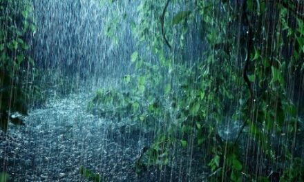 സംസ്ഥാനത്ത് ഇടിമിന്നലിനും ശക്തമായ കാറ്റിനും സാധ്യത, തിരുവനന്തപുരം മുതൽ എറണാകുളം വരെ യെല്ലോ അലർട്ട്
