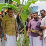 എം സി റോഡിൽ കിടങ്ങു പോലെ കുഴി, വാഴ നട്ടു പ്രതിഷേധിച്ചു ബിജെപി