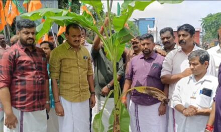 എം സി റോഡിൽ കിടങ്ങു പോലെ കുഴി, വാഴ നട്ടു പ്രതിഷേധിച്ചു ബിജെപി