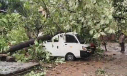 തൃശൂരില്‍ മിന്നല്‍ ചുഴലി