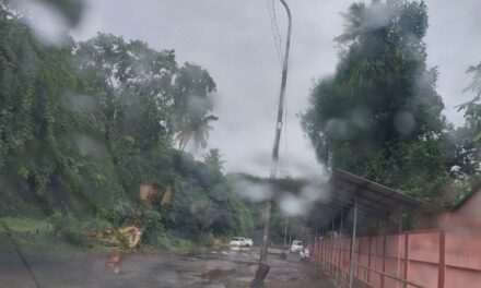 പത്തനംതിട്ട, ആലപ്പുഴ, കോട്ടയം, ഇടുക്കി, എറണാകുളം ജില്ലകളിൽ അതിശക്ത മഴ മുന്നറിയിപ്പ്,
