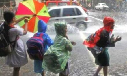 കനത്ത മഴ; വയനാട് ജില്ലയിലെ വിദ്യാഭ്യാസ സ്ഥാപനങ്ങള്‍ക്ക് നാളെ അവധി