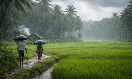 സംസ്ഥാനത്ത് വീണ്ടും മഴ സാധ്യത, ബംഗാൾ ഉൾക്കടലിൽ ചക്രവാതച്ചുഴി
