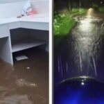 കനത്ത മഴ, പത്തനംതിട്ട തൂമ്പാക്കുളത്ത് ഉരുൾപൊട്ടൽ, വാ​ഗമണ്ണിലും അടൂർമലയിലും മണ്ണിടിച്ചിൽ, ഇടുക്കിയിൽ അതിതീവ്രമഴ ; 3 മരണം; 9 ജില്ലകളില്‍ അവധി, റെഡ് അലര്‍ട്ട് ; ജാ​ഗ്രത നിർദേശം