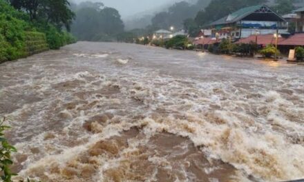 സംസ്ഥാനത്ത് മഴ ശക്തം, കോട്ടയത്ത് രാത്രി മുതൽ മഴ, മീനച്ചിലാറ്റിൽ ജലനിരപ്പ് ഉയരുന്നു, ഇടുക്കി മലങ്കര ഡാമിന്റെ ഷട്ടറുകൾ കൂടുതൽ ഉയർത്തും, തൊടുപുഴ , മൂവാറ്റുപുഴ ആറുകളുടെ തീരത്ത് ജാഗ്രത
